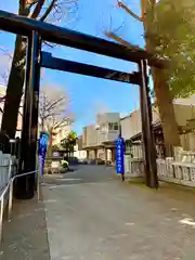 高円寺氷川神社の鳥居