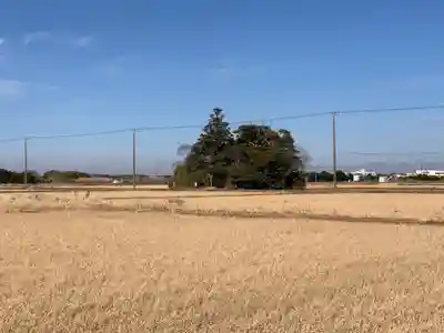 若宮八幡神社(千葉県)