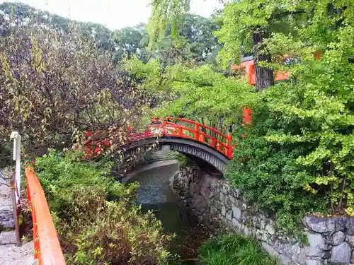 賀茂御祖神社（下鴨神社）の自然