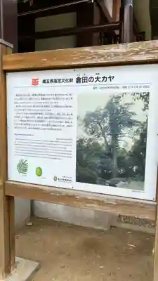 明星院(埼玉県)