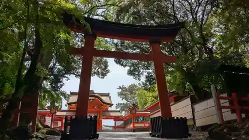 宇佐神宮の鳥居