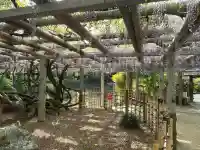 越ヶ谷久伊豆神社の{uncategorized: "未分類", other: "その他", undefined: "問題あり", building: "その他建物", grave: "お墓", sacred_gate: "鳥居", guardian: "狛犬", statue: "像", buddha: "仏像", history: "歴史", nature: "自然", garden: "庭園", animal: "動物", pagoda: "塔", temizu: "手水舎", mountain_gate: "山門・神門", sanctuary: "本殿・本堂", subordinate: "末社・摂社", art: "芸術", scenery: "景色", jizo: "地蔵", ema: "絵馬", goshuin: "御朱印", omikuji: "おみくじ", items: "授与品その他", amulet: "お守り", goshuincho: "御朱印帳", eats: "食事", festival: "お祭り", votive_dance: "神楽", shichigosan: "七五三参", wedding: "結婚式", experience: "体験その他", initially: "初詣", around: "周辺", anti_infection: "感染症対策"}