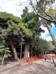 息栖神社の建物その他