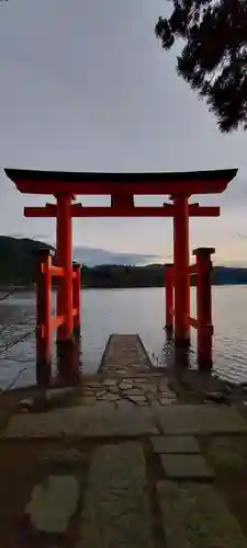 箱根神社の鳥居