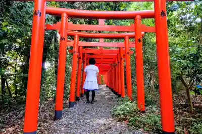 満福寺（三好稲荷閣）の{uncategorized: "未分類", other: "その他", undefined: "問題あり", building: "その他建物", grave: "お墓", sacred_gate: "鳥居", guardian: "狛犬", statue: "像", buddha: "仏像", history: "歴史", nature: "自然", garden: "庭園", animal: "動物", pagoda: "塔", temizu: "手水舎", mountain_gate: "山門・神門", sanctuary: "本殿・本堂", subordinate: "末社・摂社", art: "芸術", scenery: "景色", jizo: "地蔵", ema: "絵馬", goshuin: "御朱印", omikuji: "おみくじ", items: "授与品その他", amulet: "お守り", goshuincho: "御朱印帳", eats: "食事", festival: "お祭り", votive_dance: "神楽", shichigosan: "七五三参", wedding: "結婚式", experience: "体験その他", initially: "初詣", around: "周辺", anti_infection: "感染症対策"}