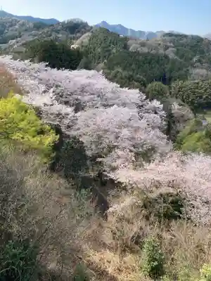 愛宕神社の自然
