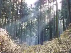 焼森山雷神神社の景色