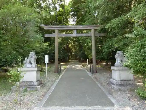 若狭彦神社（上社）の鳥居