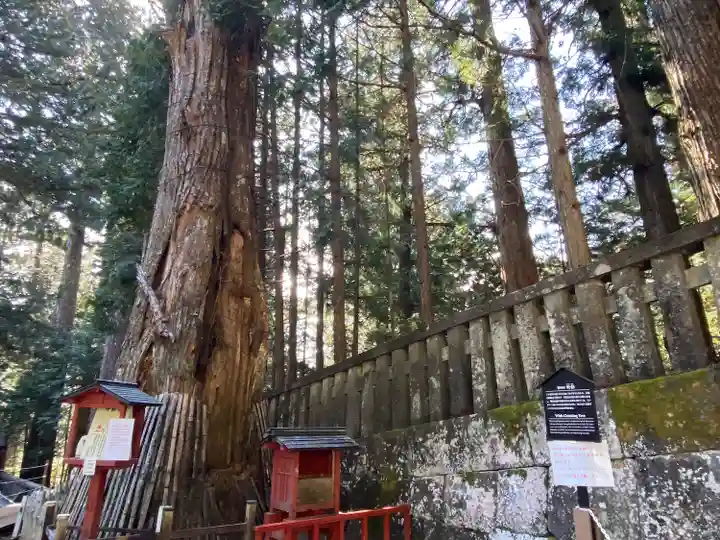 日光東照宮奥宮拝殿(栃木県)