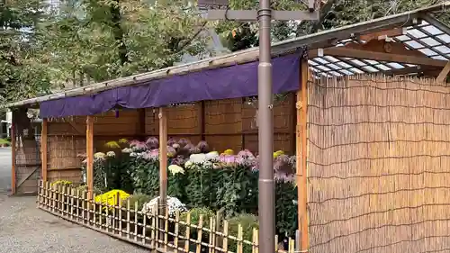 靖國神社(東京都)