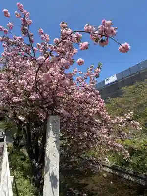 大楽寺の{uncategorized: "未分類", other: "その他", undefined: "問題あり", building: "その他建物", grave: "お墓", sacred_gate: "鳥居", guardian: "狛犬", statue: "像", buddha: "仏像", history: "歴史", nature: "自然", garden: "庭園", animal: "動物", pagoda: "塔", temizu: "手水舎", mountain_gate: "山門・神門", sanctuary: "本殿・本堂", subordinate: "末社・摂社", art: "芸術", scenery: "景色", jizo: "地蔵", ema: "絵馬", goshuin: "御朱印", omikuji: "おみくじ", items: "授与品その他", amulet: "お守り", goshuincho: "御朱印帳", eats: "食事", festival: "お祭り", votive_dance: "神楽", shichigosan: "七五三参", wedding: "結婚式", experience: "体験その他", initially: "初詣", around: "周辺", anti_infection: "感染症対策"}