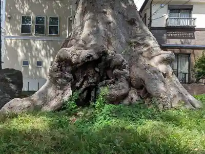 調神社(埼玉県)