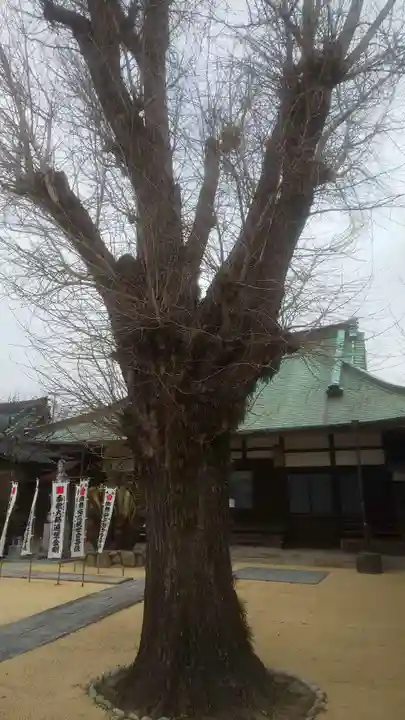 興昌寺(愛知県)