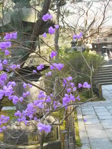 安國論寺（安国論寺）の庭園