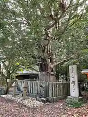 熊野速玉大社(和歌山県)