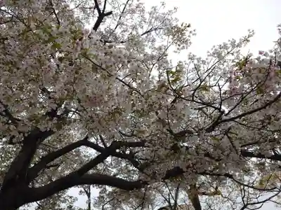 厳島神社(広島県)