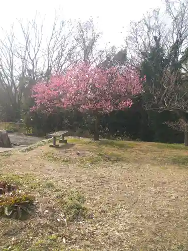 神前神社の自然