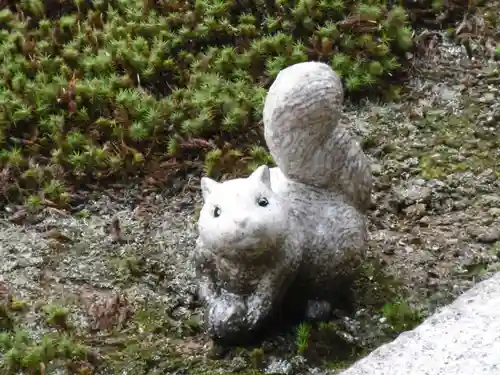 聖護院門跡の狛犬