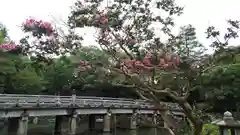 嚴島神社 (京都御苑)の自然