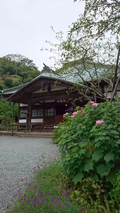 海蔵寺の本殿・本堂