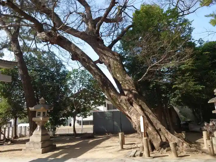 弓弦羽神社(兵庫県)