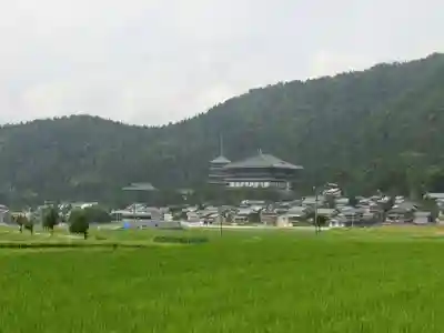 清大寺(越前大仏)の周辺
