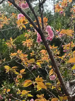御津神社の{uncategorized: "未分類", other: "その他", undefined: "問題あり", building: "その他建物", grave: "お墓", sacred_gate: "鳥居", guardian: "狛犬", statue: "像", buddha: "仏像", history: "歴史", nature: "自然", garden: "庭園", animal: "動物", pagoda: "塔", temizu: "手水舎", mountain_gate: "山門・神門", sanctuary: "本殿・本堂", subordinate: "末社・摂社", art: "芸術", scenery: "景色", jizo: "地蔵", ema: "絵馬", goshuin: "御朱印", omikuji: "おみくじ", items: "授与品その他", amulet: "お守り", goshuincho: "御朱印帳", eats: "食事", festival: "お祭り", votive_dance: "神楽", shichigosan: "七五三参", wedding: "結婚式", experience: "体験その他", initially: "初詣", around: "周辺", anti_infection: "感染症対策"}