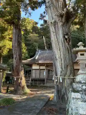 来宮神社(静岡県)