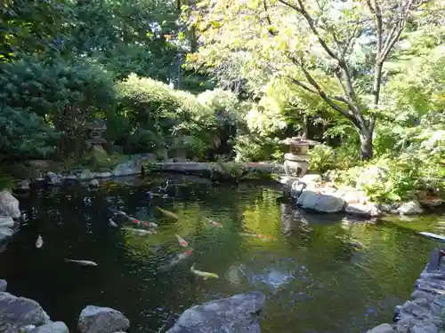 感通寺の庭園