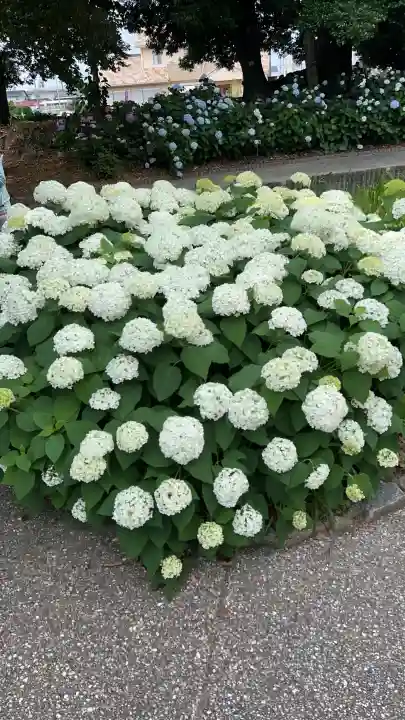 性海寺(愛知県)