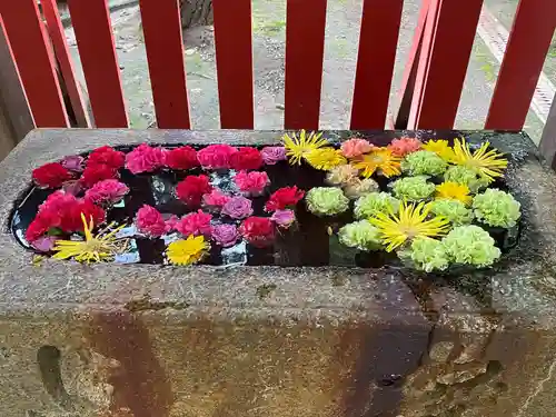 蛇松神社(新潟県)