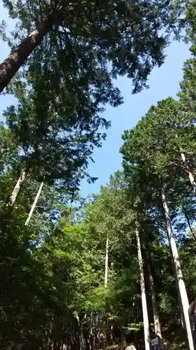 三峯神社の景色