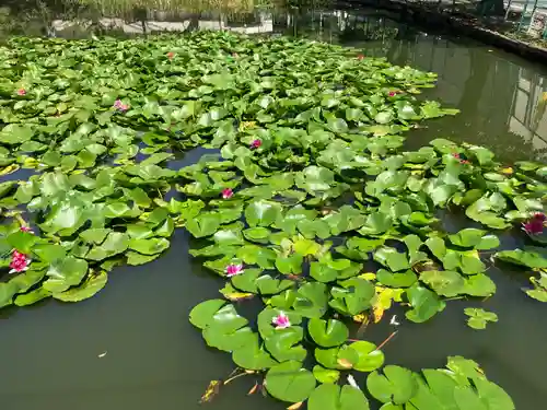 岩崎弁財天(埼玉県)