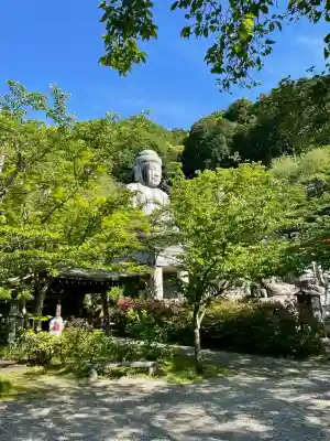 南法華寺（壷阪寺）の{uncategorized: "未分類", other: "その他", undefined: "問題あり", building: "その他建物", grave: "お墓", sacred_gate: "鳥居", guardian: "狛犬", statue: "像", buddha: "仏像", history: "歴史", nature: "自然", garden: "庭園", animal: "動物", pagoda: "塔", temizu: "手水舎", mountain_gate: "山門・神門", sanctuary: "本殿・本堂", subordinate: "末社・摂社", art: "芸術", scenery: "景色", jizo: "地蔵", ema: "絵馬", goshuin: "御朱印", omikuji: "おみくじ", items: "授与品その他", amulet: "お守り", goshuincho: "御朱印帳", eats: "食事", festival: "お祭り", votive_dance: "神楽", shichigosan: "七五三参", wedding: "結婚式", experience: "体験その他", initially: "初詣", around: "周辺", anti_infection: "感染症対策"}