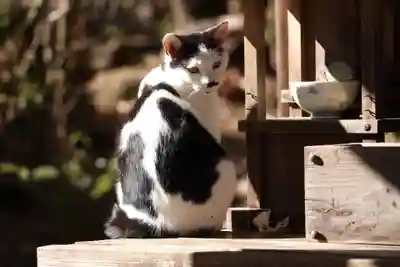玉野御嶽神社(愛知県)