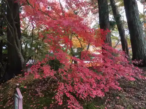 中尊寺の自然