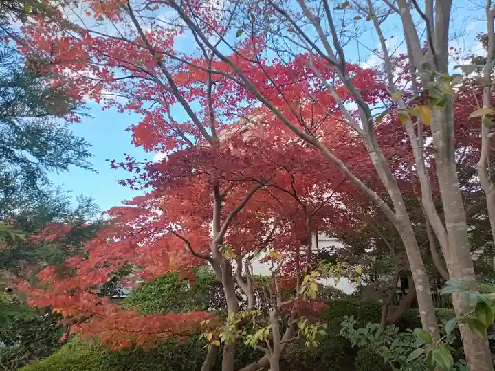 西方院(大阪府)