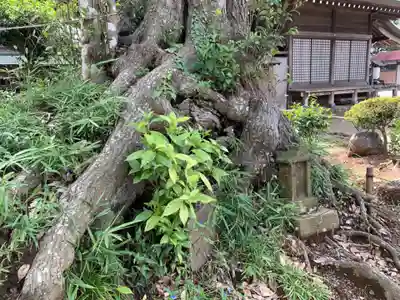 埴生神社(千葉県)