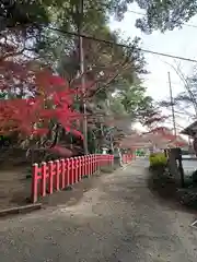 麻賀多神社奥宮(千葉県)