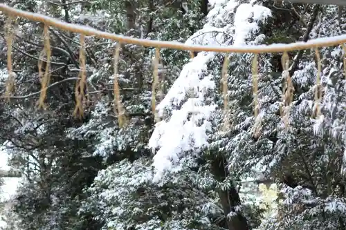 忍　諏訪神社・東照宮　の{uncategorized: "未分類", other: "その他", undefined: "問題あり", building: "その他建物", grave: "お墓", sacred_gate: "鳥居", guardian: "狛犬", statue: "像", buddha: "仏像", history: "歴史", nature: "自然", garden: "庭園", animal: "動物", pagoda: "塔", temizu: "手水舎", mountain_gate: "山門・神門", sanctuary: "本殿・本堂", subordinate: "末社・摂社", art: "芸術", scenery: "景色", jizo: "地蔵", ema: "絵馬", goshuin: "御朱印", omikuji: "おみくじ", items: "授与品その他", amulet: "お守り", goshuincho: "御朱印帳", eats: "食事", festival: "お祭り", votive_dance: "神楽", shichigosan: "七五三参", wedding: "結婚式", experience: "体験その他", initially: "初詣", around: "周辺", anti_infection: "感染症対策"}