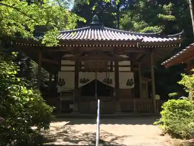 千光寺の狛犬