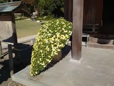 出雲大社北島国造館 出雲教のその他建物