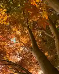 滑川神社 - 仕事と子どもの守り神の自然