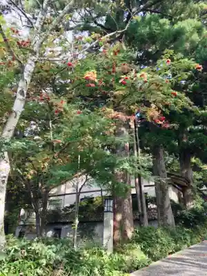 大山寺(鳥取県)