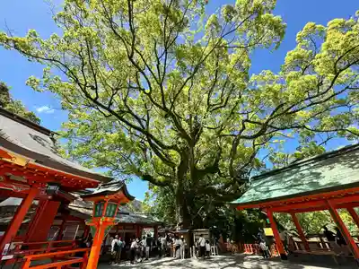 熊野那智大社(和歌山県)