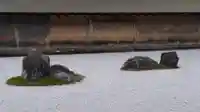 龍安寺の庭園
