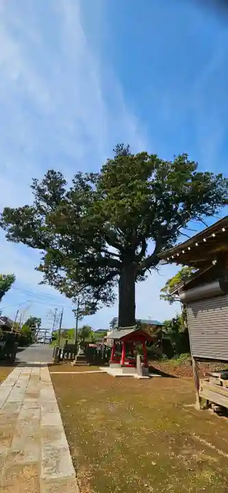 松澤 熊野神社の{uncategorized: "未分類", other: "その他", undefined: "問題あり", building: "その他建物", grave: "お墓", sacred_gate: "鳥居", guardian: "狛犬", statue: "像", buddha: "仏像", history: "歴史", nature: "自然", garden: "庭園", animal: "動物", pagoda: "塔", temizu: "手水舎", mountain_gate: "山門・神門", sanctuary: "本殿・本堂", subordinate: "末社・摂社", art: "芸術", scenery: "景色", jizo: "地蔵", ema: "絵馬", goshuin: "御朱印", omikuji: "おみくじ", items: "授与品その他", amulet: "お守り", goshuincho: "御朱印帳", eats: "食事", festival: "お祭り", votive_dance: "神楽", shichigosan: "七五三参", wedding: "結婚式", experience: "体験その他", initially: "初詣", around: "周辺", anti_infection: "感染症対策"}