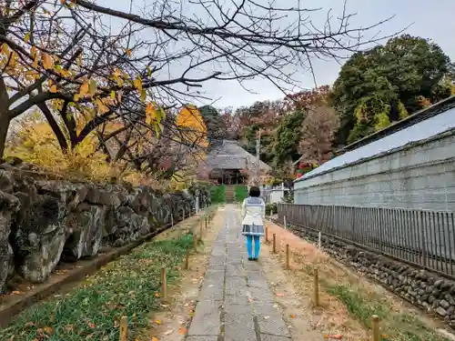 横浜　西方寺の景色