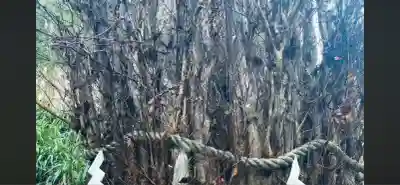 貴船神社(京都府)