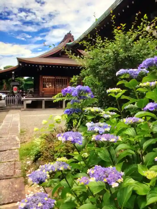本郷氷川神社(東京都)